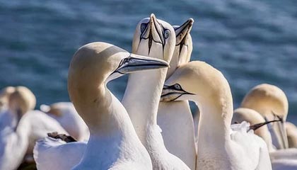 kaiyun app-成都兴城主场胜利，保持不败战绩，2020赛季成都兴城主场门票